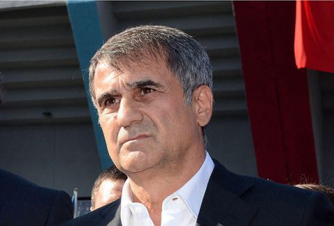 Şenol Güneş, Bursaspor'da