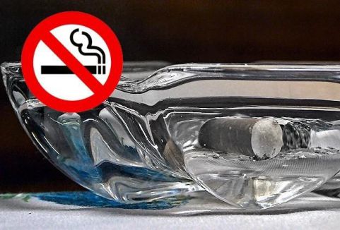 Sigaraya yılda 100 bin kurban