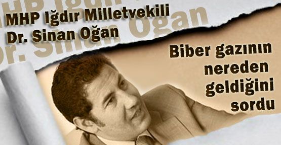 Sinan Oğan; Bu Gaz Kimden, Hangi Ülkeden Alınıyor?