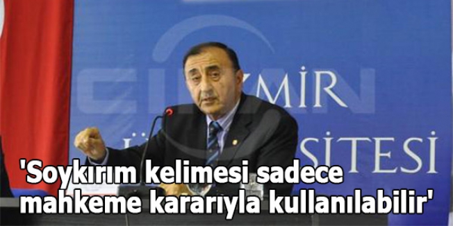 'Soykırım kelimesi sadece mahkeme kararıyla kullanılabilir'