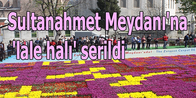 Sultanahmet Meydanı'na 'lale halı'