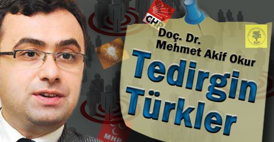 Tedirgin Türkler
