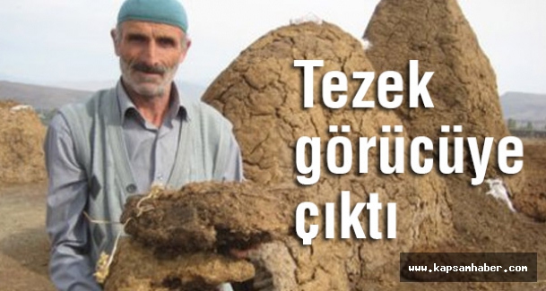 Tezek, görücüye çıktı!