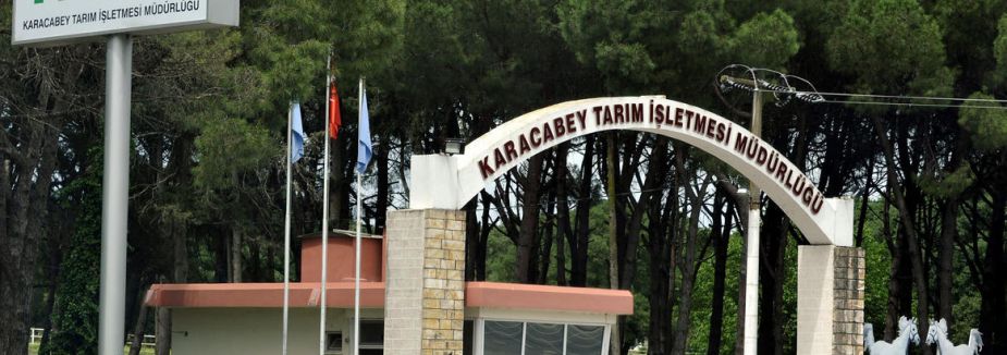 TİGEM'den mısır tohumu için işbirliği...