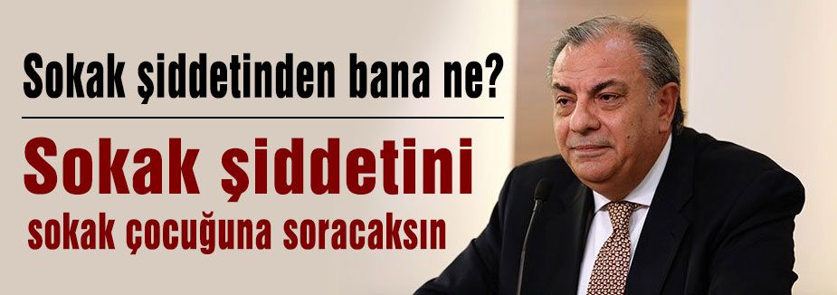 Tuğrul Türkeş; Sokak şiddetinden bana ne?