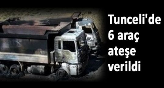 Tunceli'de 6 araç ateşe verildi