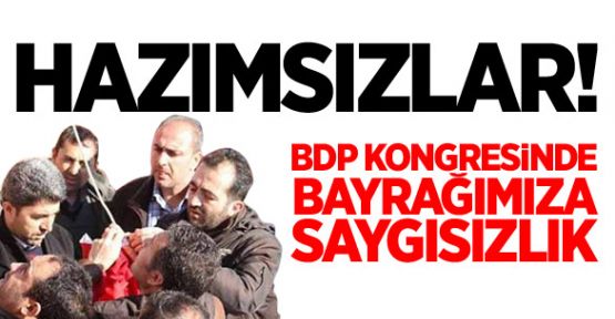 Türk Bayrağını Hazmedemediler...
