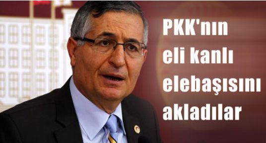 Türk'e Saldırmak Yükselen Değer Haline Geldi