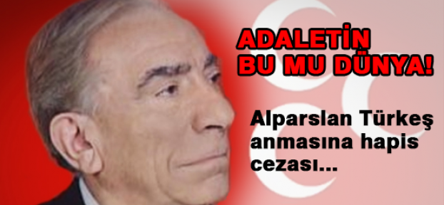 Türkeş'i Ananlara Ceza