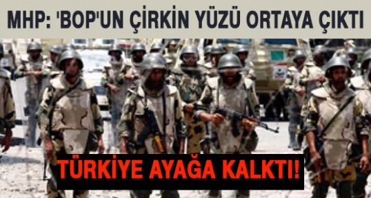 Türkiye Ayağa Kalktı!