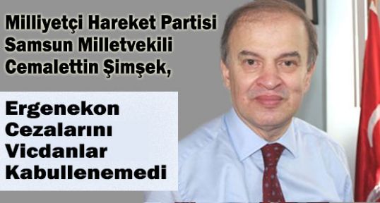 MHP'li Şimşek; Türkiye Ergenekon davasında Yara Almıştır