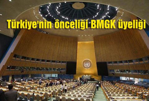 Türkiye'nin önceliği BMGK üyeliği