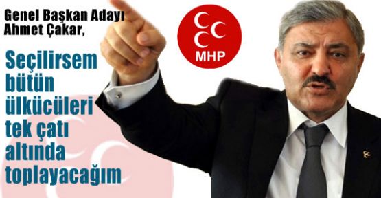 ülkücüleri tek çatı altında toplayacağım