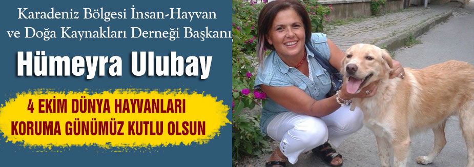 Ulubay; Hayvanlara Eziyet Etmeyin