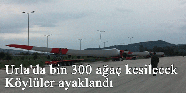 Urla'da bin 300 ağaç kesilecek Köylüler ayaklandı