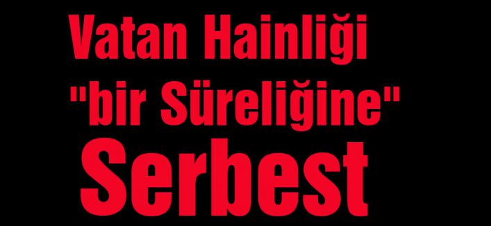 Vatan Hainliği