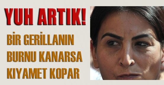 Vay Vay ! Gerilla Barışa Şans Tanımış