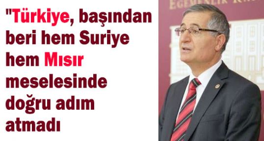Yeniçeri; Türkiye; Suriye ve Mısır konusunda doğru adım atmadı