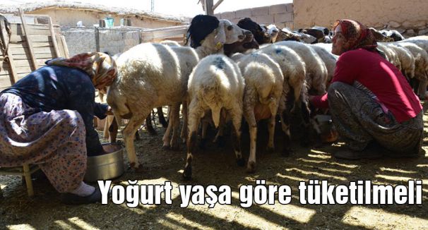 Yoğurt yaşa göre tüketilmeli