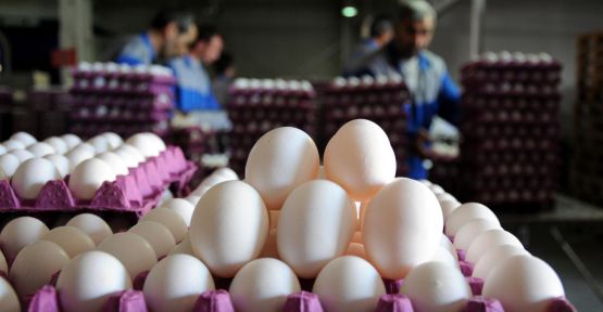 Yumurta C vitaminini seviyor...