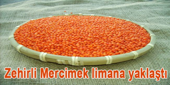 Zehirli Mercimek limana yaklaştı