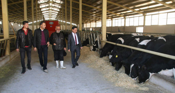 universite hocaligindan hayvan ureticiligine