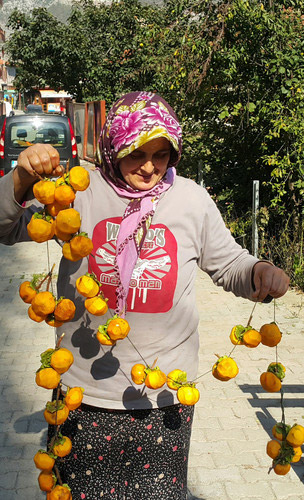 Bu da Trabzon hurması kurutması