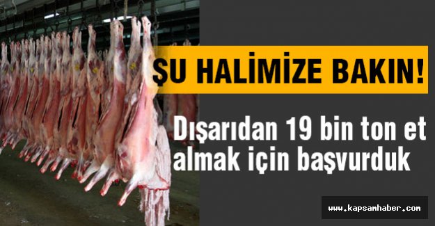 Avrupa Birliği'ne 19 bin ton et için başvurduk