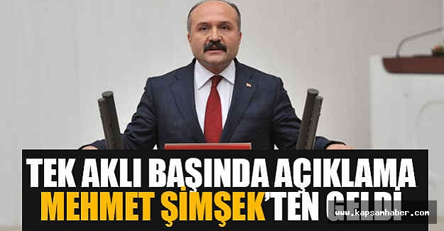 Erhan Usta; Tek Aklı Başında Açıklama Mehmet Şimşek'ten Geldi