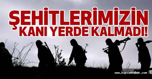 Kanları Yerde Kalmadı: 7 PKK’lı Öldürüldü