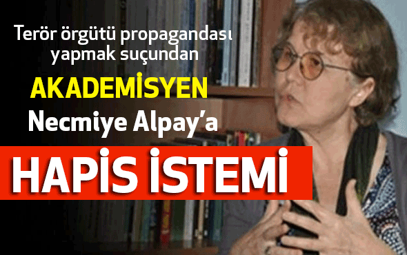 Dilbilimci Alpay’a hapis istemi