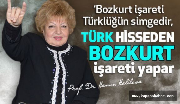 Prof. Dr. Hanım Halilova; Bozkurt İşareti Türklüğün Simgesidir