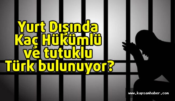 Yurt Dışında Kaç Hükümlü ve Tutuklu Türk bulunuyor?