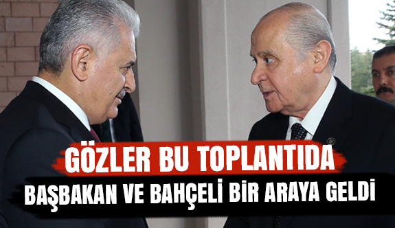 Başbakan ve Bahçeli Çankaya Köşkü'nde bir araya Geldi