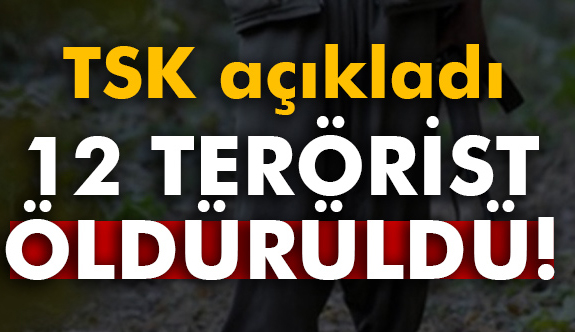 Türk Silahlı Kuvvetleri 12 teröristi etkisiz hale getirdi