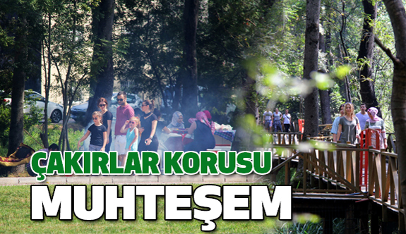 Samsun'da Çakırlar Korusu, Turistlerin Uğrak Noktası Oldu