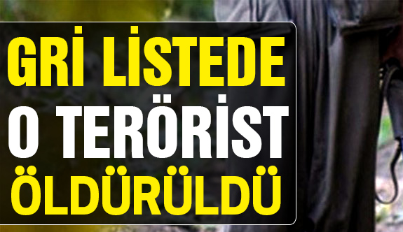 Gri Listedeki Terörist Öldürüldü