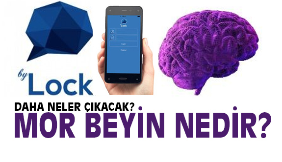 Mor Beyin Nedir Mor Beyini Kim Cikardi
