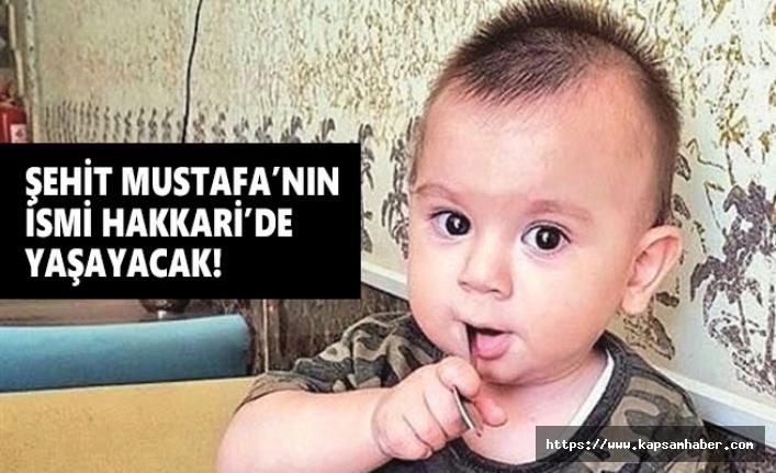 11 aylık Şehit Bedirhan Mustafa'nın ismi Hakkari'de Yaşayacak