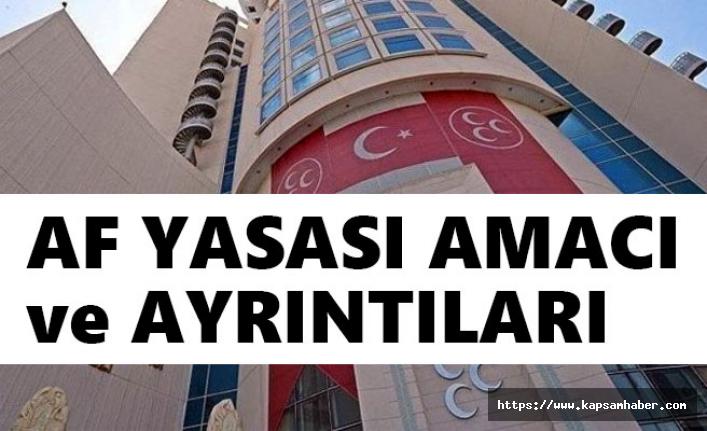 MHP'nin Af Yasası Teklifinde Amaç ve Ayrıntılar