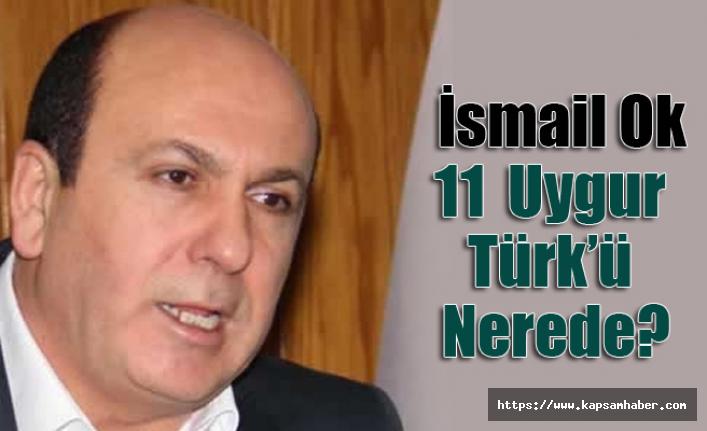 İyi Partili İsmail Ok Sordu: 11 Uygur Türkü Nerede?