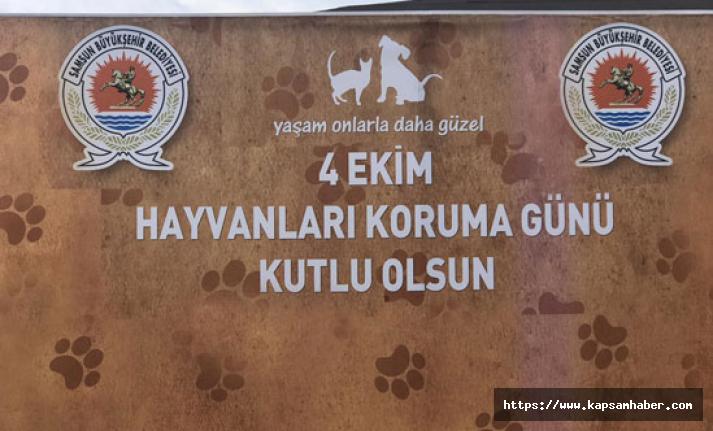 Samsun Buyuksehirden 4 Ekim Dunya Hayvanlari Koruma Gunu