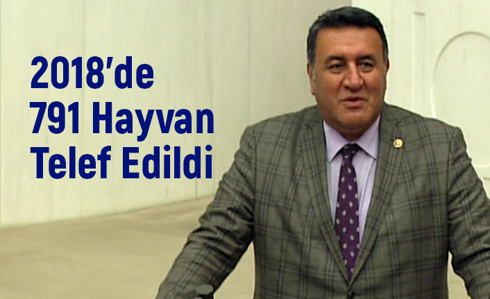 CHP Niğde Milletvekili Ömer Fethi Gürer: 2018'de 791 Hayvan Telef Edildi