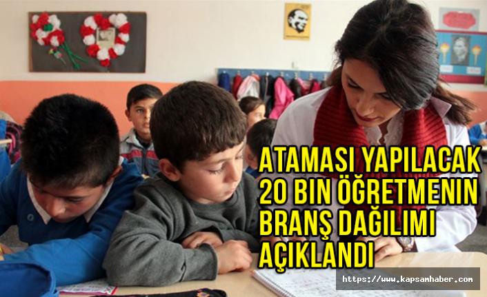20 BİN ÖĞRETMEN ATAMASI BRANŞ DAĞILIMI BELLİ OLDU MU?