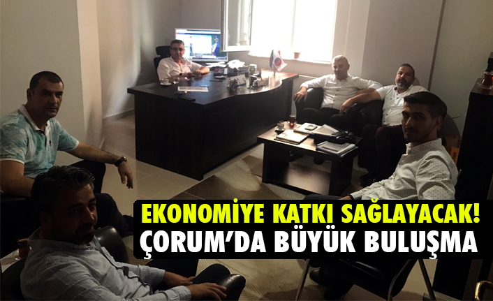 Av. Gök, İşadamı Sertakan, 'Kuzey Gücü' CEO'su Karayan Çorum'da Buluştu