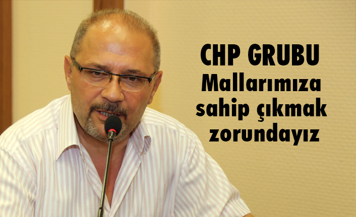CHP'li Tekcan'dan 1017 metrekarelik alanın satışa çıkarılmasına tepki