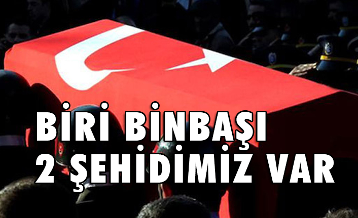pkk li teroristler bitlis te saldirdi