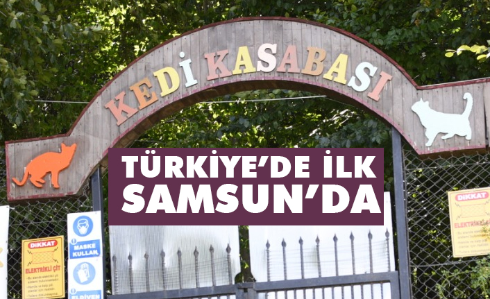 kapsam haber