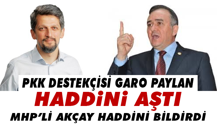 HDP'li Garo'nun 'soykırım' ve 'tehcir' ifadelerine MHP'den Sert Çıkış