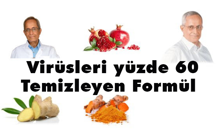 Prof. Dr. Yeşilada'dan Virüsleri yüzde 60 Temizleyen Formül